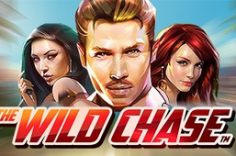 Играть в The Wild Chase